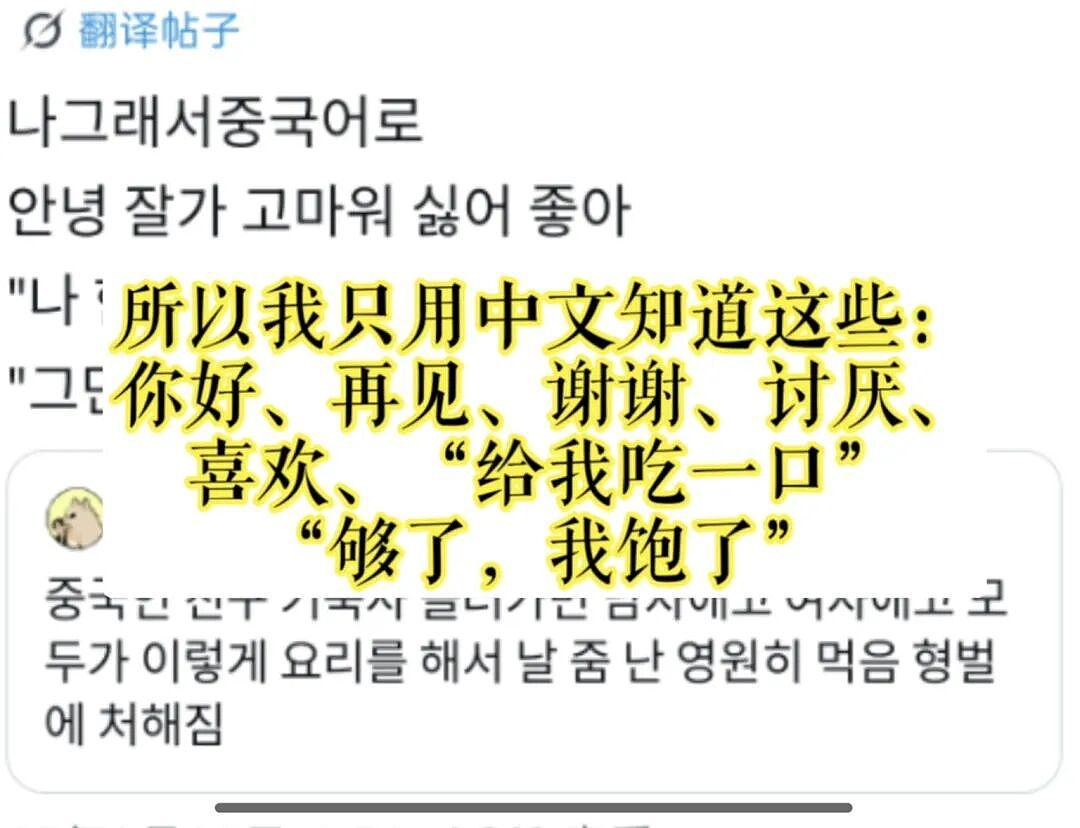 被中国留子“喂到撑死”,韩国网友感叹:为什么中国人都会做饭?(组图) - 4