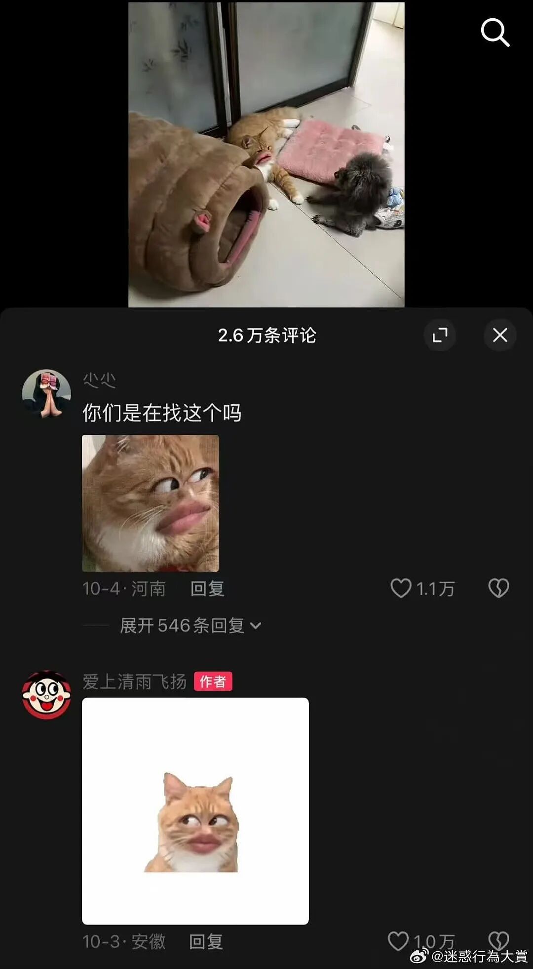 【爆笑】“假期景区的动物都吃出工伤了！“ 哈哈哈哈哈哈都收手吧（组图） - 22