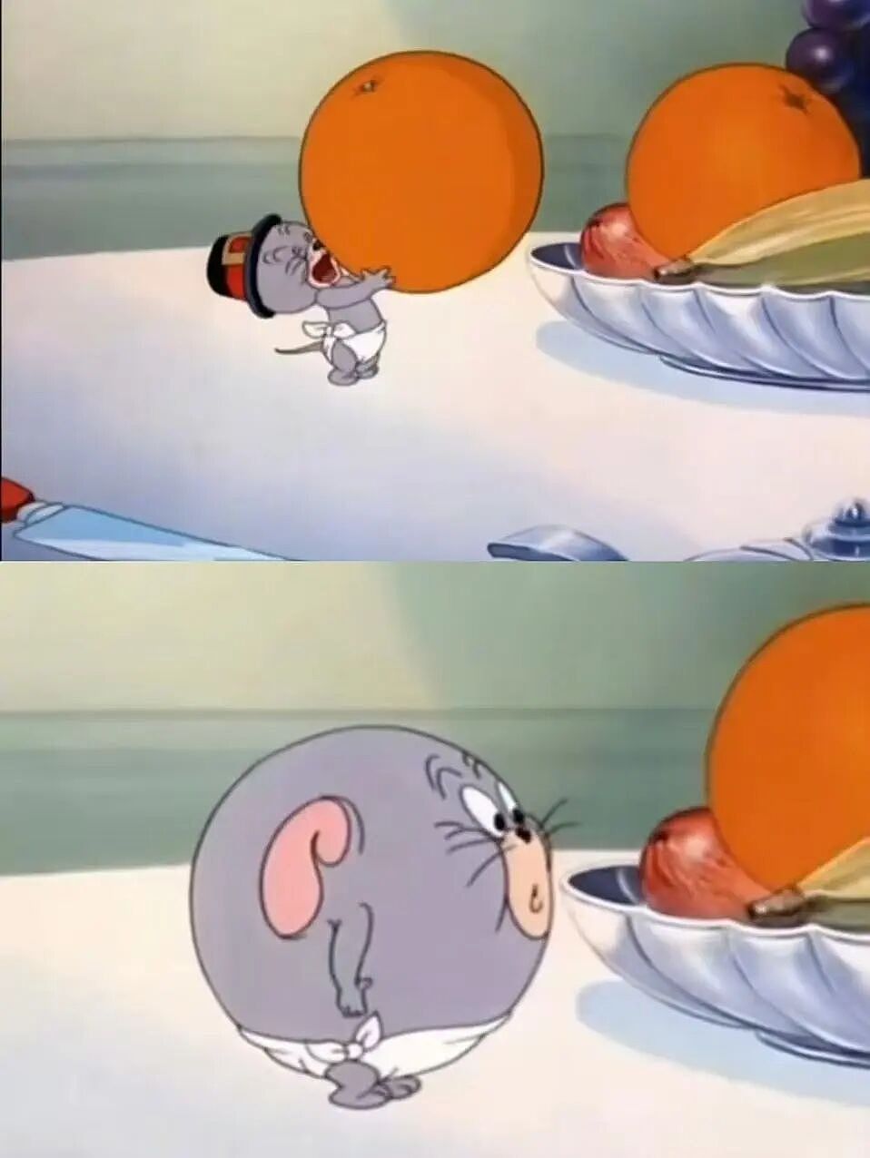【爆笑】“假期景区的动物都吃出工伤了！“ 哈哈哈哈哈哈都收手吧（组图） - 79