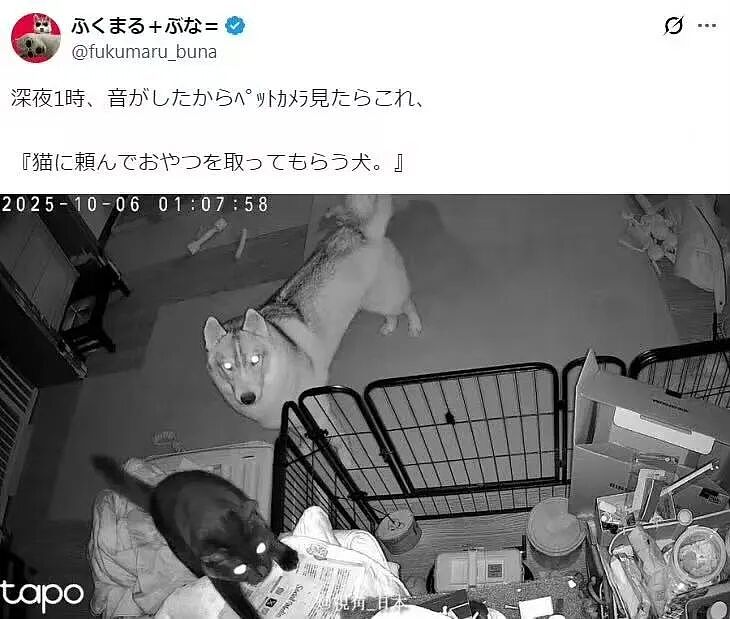 【爆笑】“假期景区的动物都吃出工伤了！“ 哈哈哈哈哈哈都收手吧（组图） - 59
