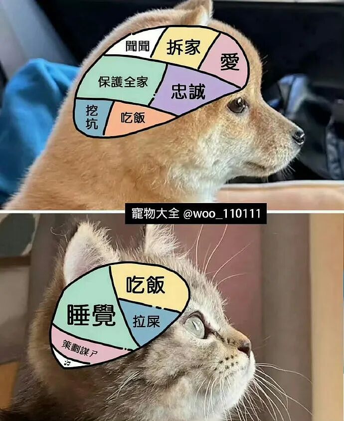 【爆笑】“五星级酒店的拖鞋能有多离谱?”哈哈哈哈哈总裁平时就穿这个啊(组图) - 65