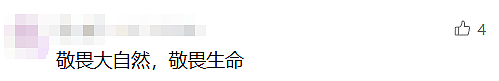 情况突然恶化！20岁女孩进ICU或成植物人，网友称她是被“搭子”抛弃了（组图） - 16