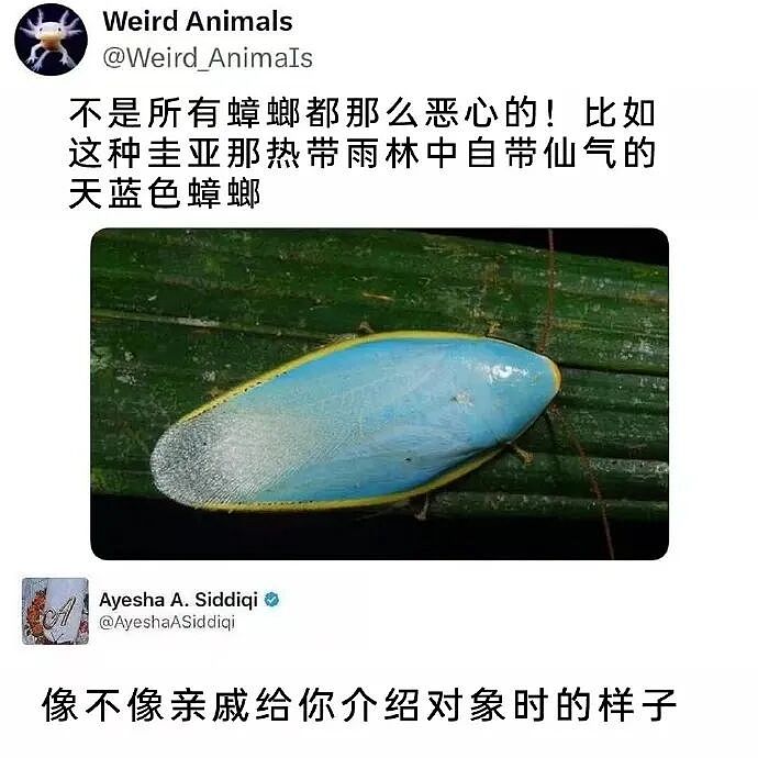 【爆笑】“五星级酒店的拖鞋能有多离谱?”哈哈哈哈哈总裁平时就穿这个啊(组图) - 77