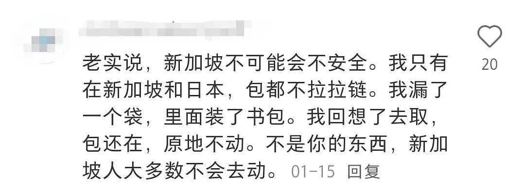 热议！华裔男子在大马失联后被割喉、弃尸野外… 东南亚真的不再安全？（组图） - 23
