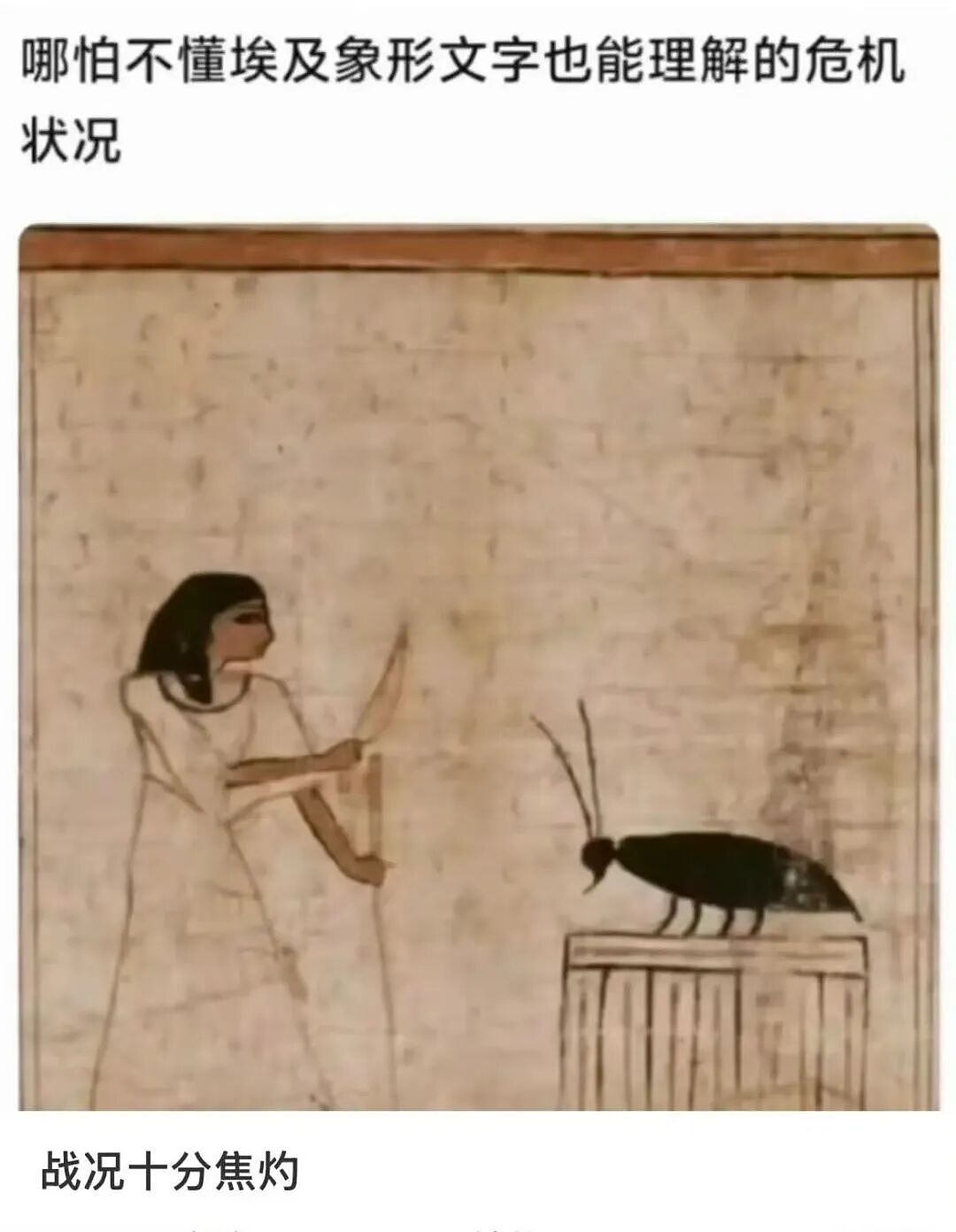 【爆笑】“五星级酒店的拖鞋能有多离谱?”哈哈哈哈哈总裁平时就穿这个啊(组图) - 33