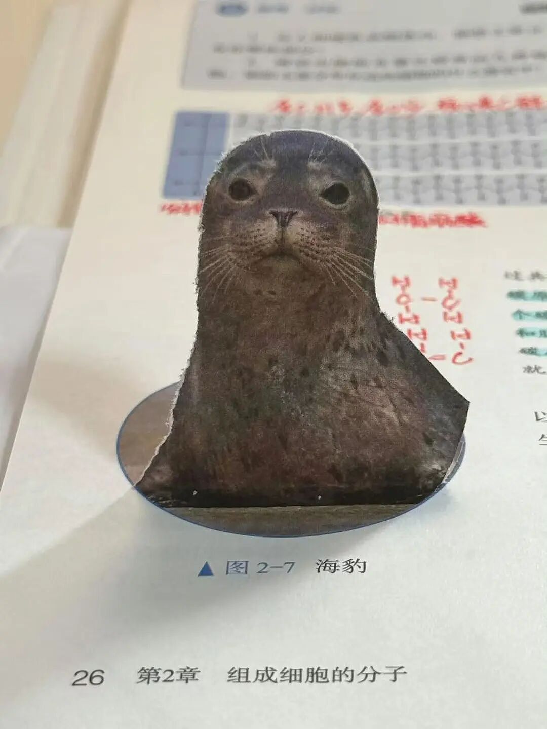 【爆笑】“假期景区的动物都吃出工伤了！“ 哈哈哈哈哈哈都收手吧（组图） - 89