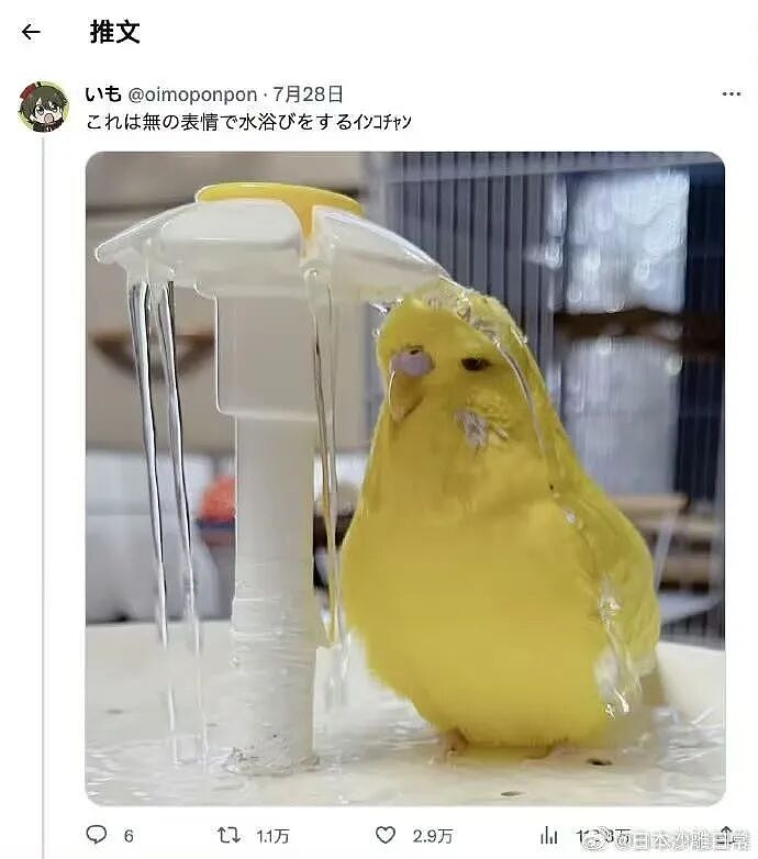 【爆笑】“假期景区的动物都吃出工伤了！“ 哈哈哈哈哈哈都收手吧（组图） - 73