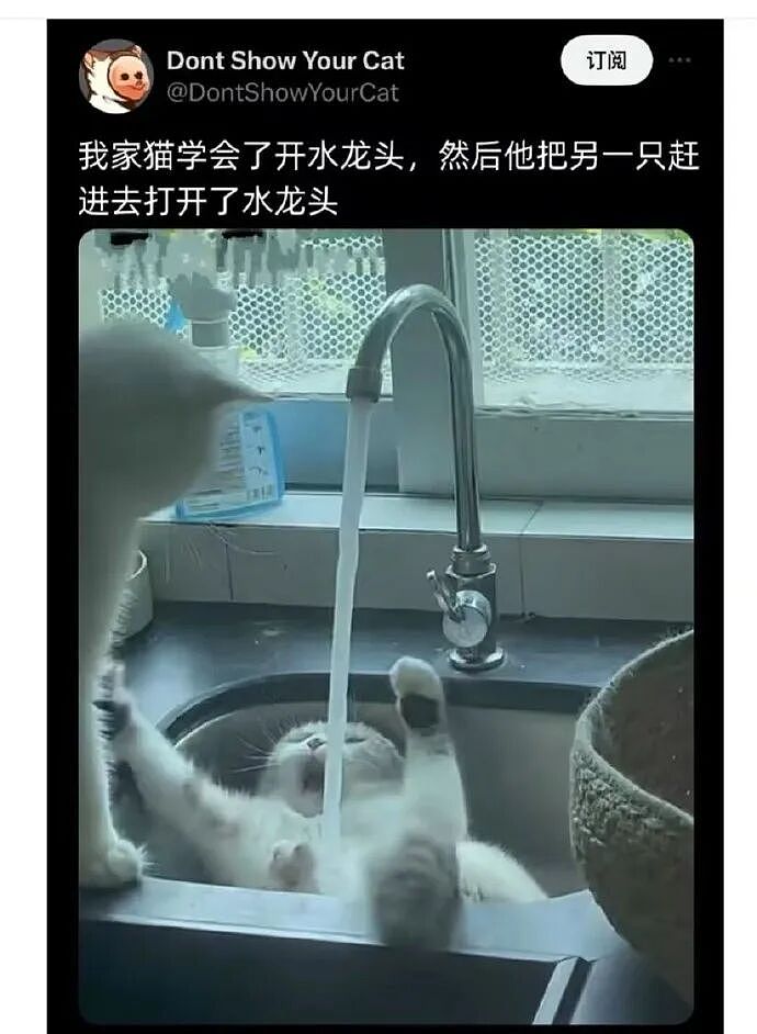 【爆笑】“五星级酒店的拖鞋能有多离谱?”哈哈哈哈哈总裁平时就穿这个啊(组图) - 69