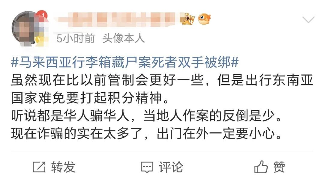 热议！华裔男子在大马失联后被割喉、弃尸野外… 东南亚真的不再安全？（组图） - 13