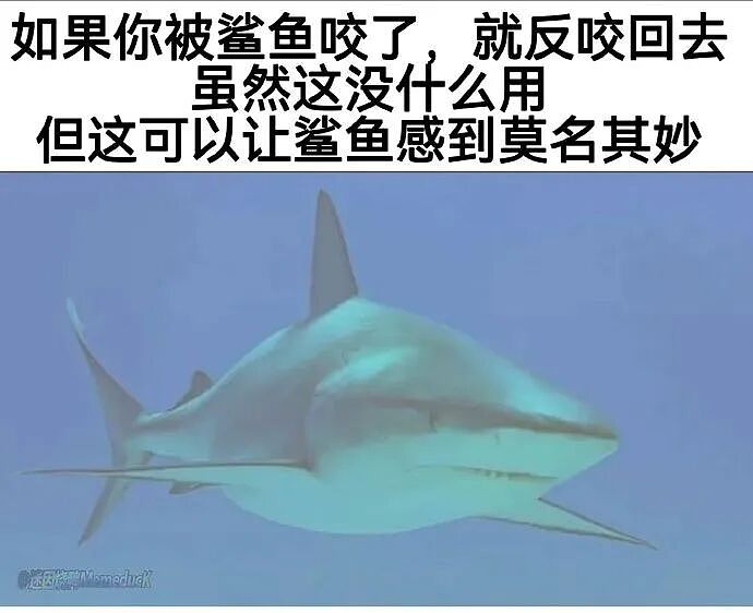 【爆笑】“五星级酒店的拖鞋能有多离谱?”哈哈哈哈哈总裁平时就穿这个啊(组图) - 73