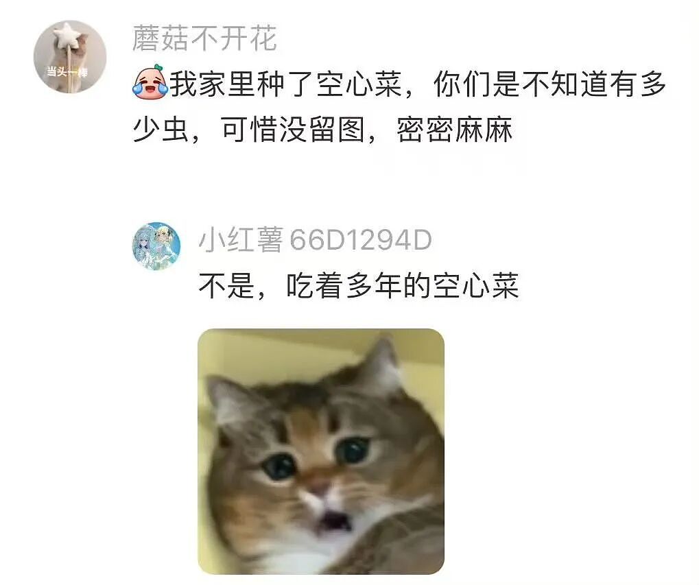 【爆笑】“假期景区的动物都吃出工伤了！“ 哈哈哈哈哈哈都收手吧（组图） - 64