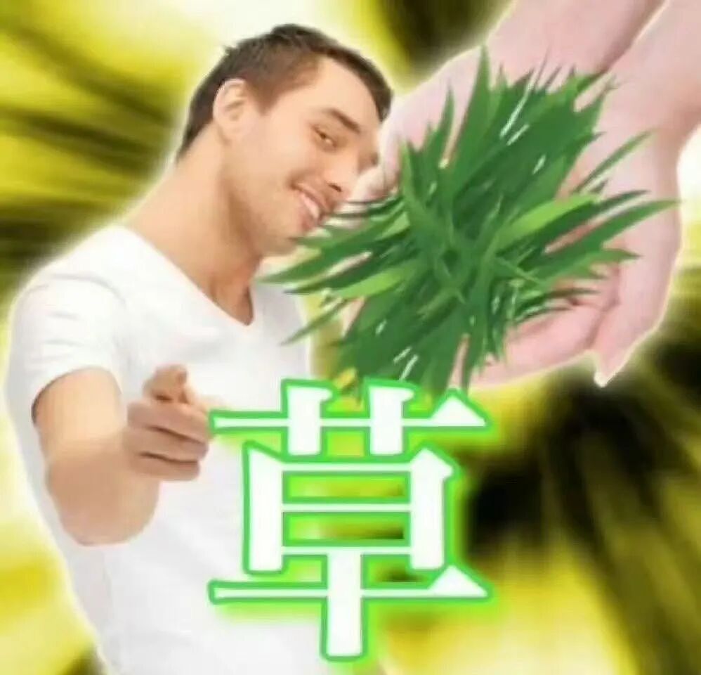【爆笑】“五星级酒店的拖鞋能有多离谱?”哈哈哈哈哈总裁平时就穿这个啊(组图) - 3