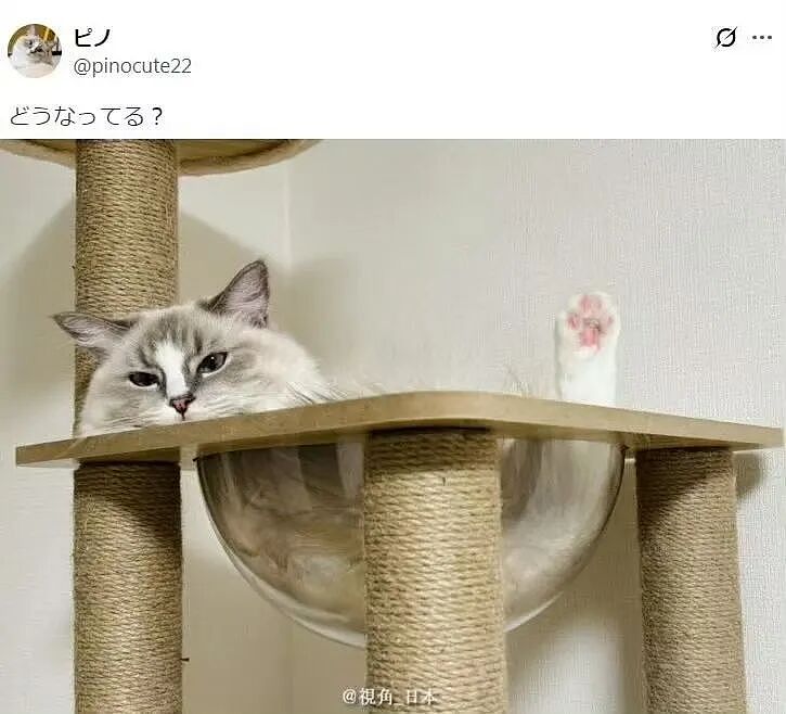 【爆笑】“假期景区的动物都吃出工伤了！“ 哈哈哈哈哈哈都收手吧（组图） - 76