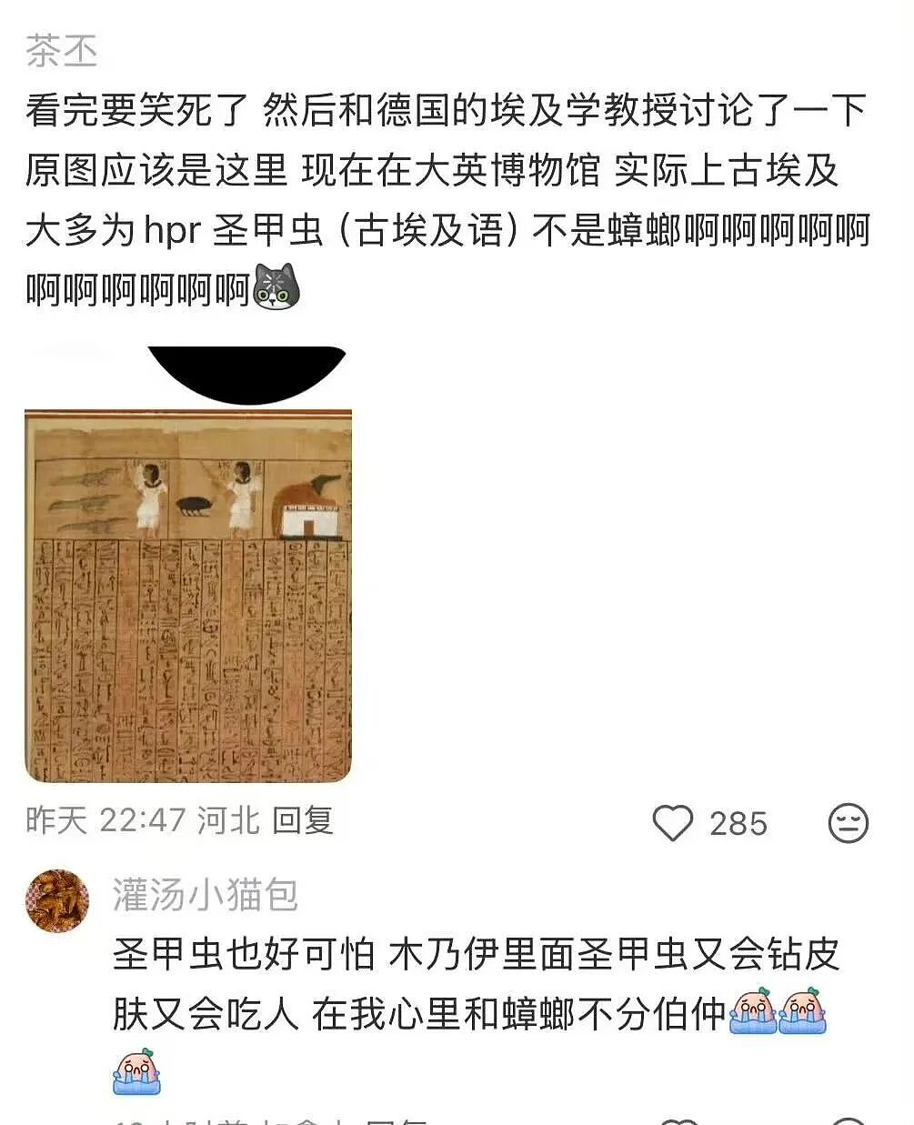 【爆笑】“五星级酒店的拖鞋能有多离谱?”哈哈哈哈哈总裁平时就穿这个啊(组图) - 36