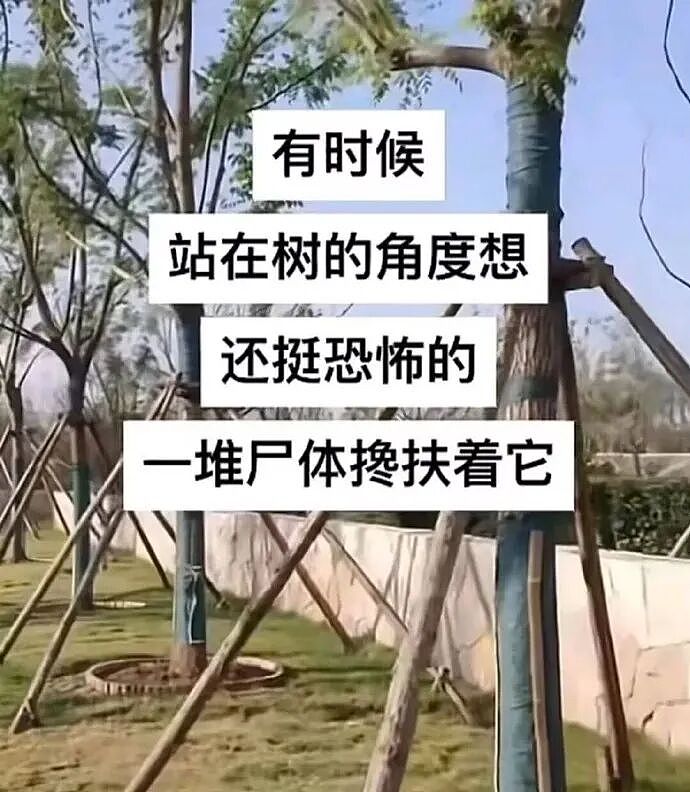 【爆笑】“五星级酒店的拖鞋能有多离谱?”哈哈哈哈哈总裁平时就穿这个啊(组图) - 81