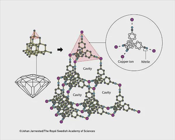 别整天喊科学没突破了,今年诺奖全是高手(组图) - 6