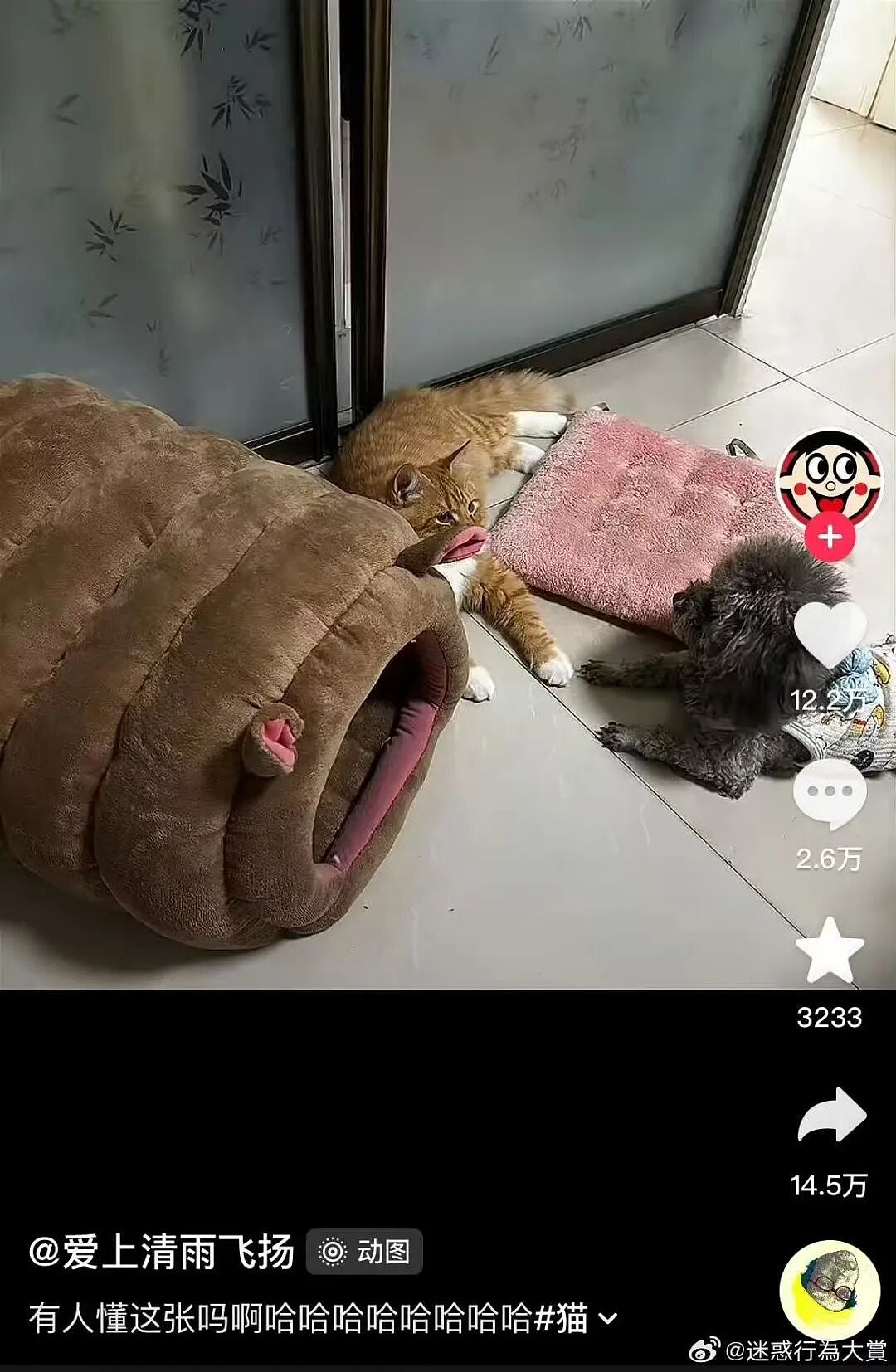 【爆笑】“假期景区的动物都吃出工伤了！“ 哈哈哈哈哈哈都收手吧（组图） - 21