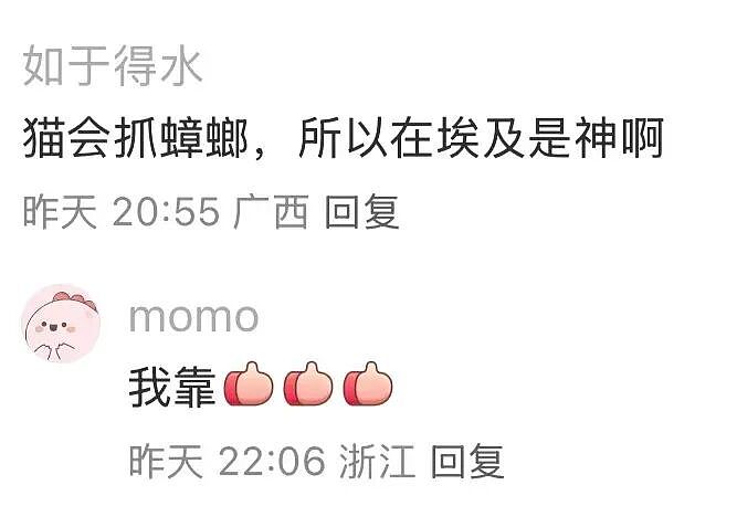 【爆笑】“五星级酒店的拖鞋能有多离谱?”哈哈哈哈哈总裁平时就穿这个啊(组图) - 34