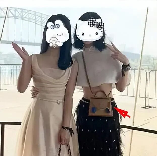 再审在即，杨兰兰账号曝光！不露脸晒香槟，狗用爱马仕，人却胖了（组图） - 3