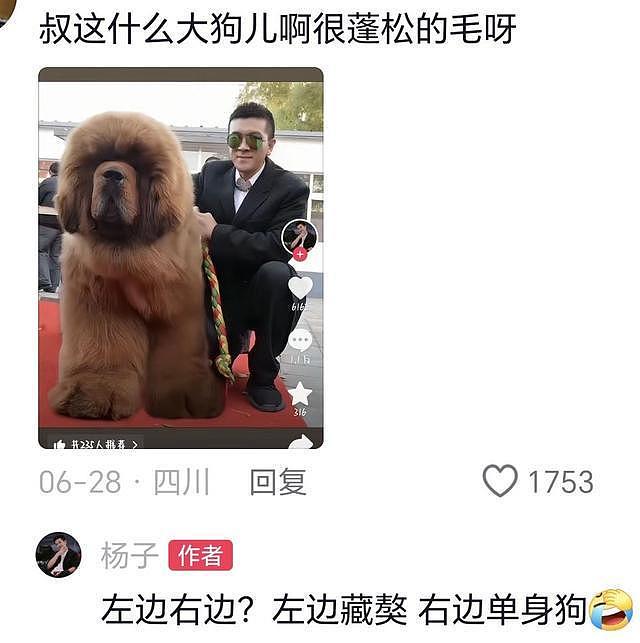 离婚7个月，霸总杨子回应坊间传闻，态度淡然，又给内娱上了一课（组图） - 20