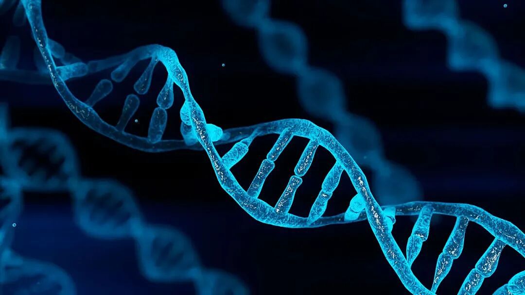 为啥现在的年轻人患癌的越来越多？有这些新发现！（组图） - 4