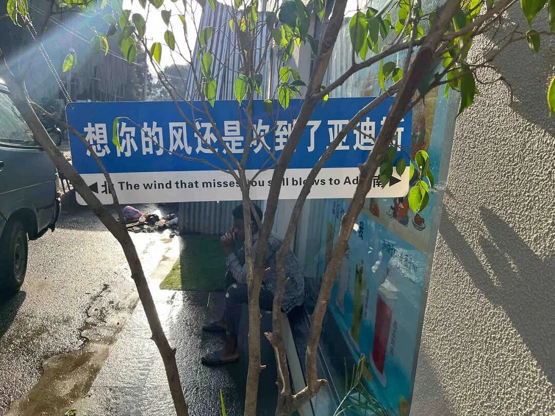 中国网友偶遇“失联”诺奖得主，评论区笑疯：真的是全球街溜子（组图） - 22