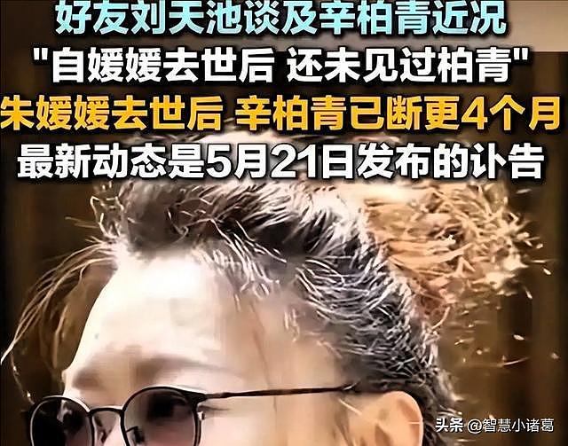 朱媛媛离世5月后,辛柏青再传坏消息:演出取消,悲伤未减引担忧(组图) - 17