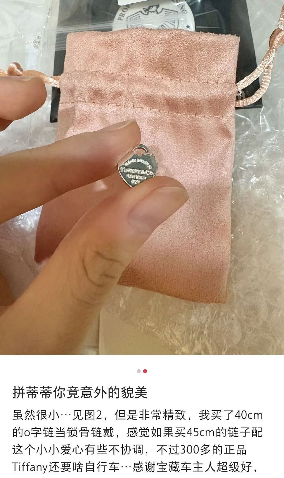 这届年轻人，开始疯抢“散装奢侈品”了？网友：别再拼了，已被买到全球断货（组图） - 15