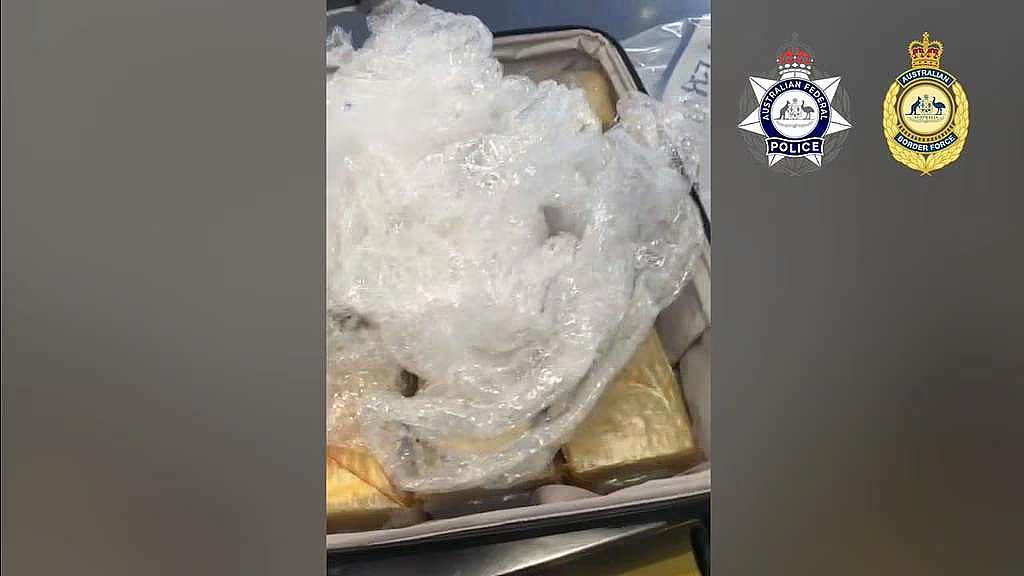 两男子落地澳洲机场，当场被捕！行李箱中暗藏玄机，价值$1300万（组图） - 3