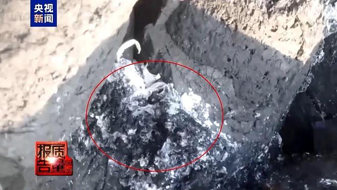 福建一无人岛现巨大垃圾天坑，央视曝光：非法包船公开拉客，人多时还要预约（组图） - 9