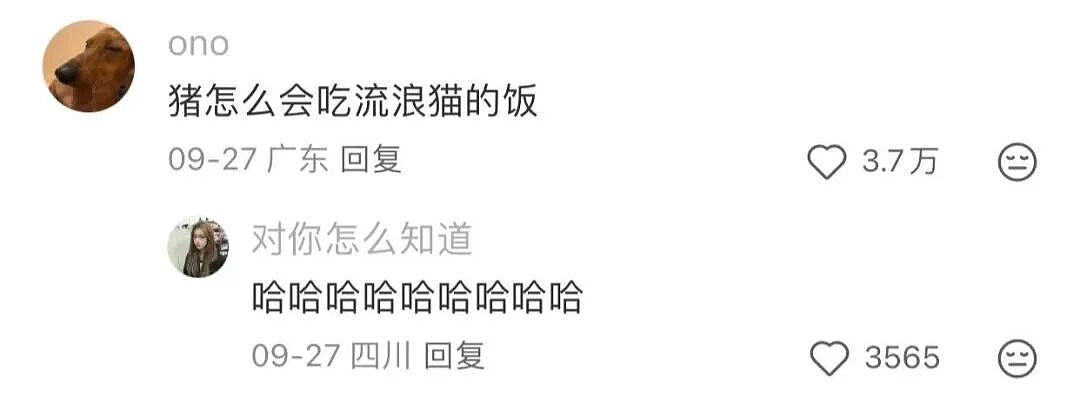 【爆笑】“花了5w装了送客风装修后......” 哈哈哈哈哈哈哈俺不中了(组图) - 76