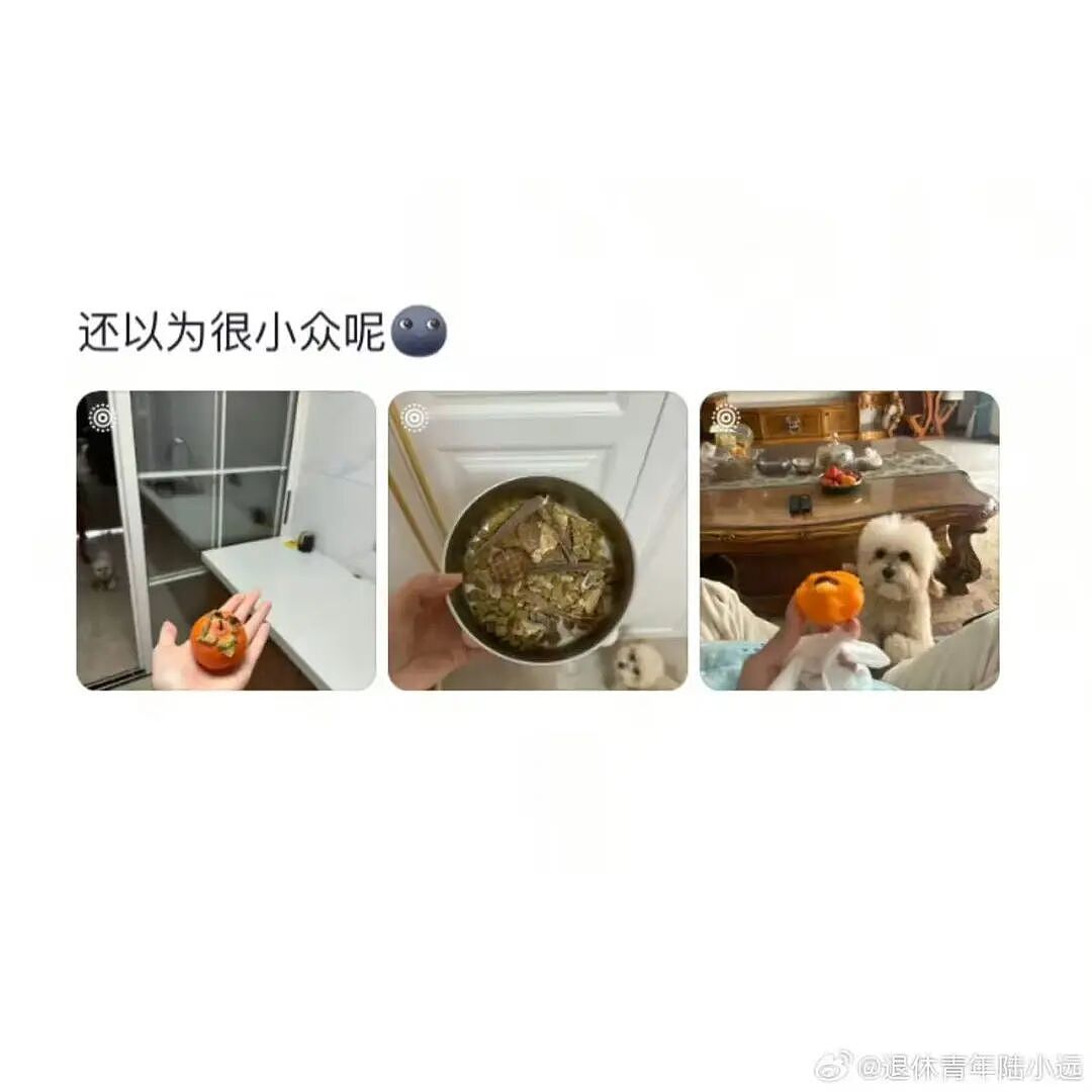 【爆笑】“花了5w装了送客风装修后......” 哈哈哈哈哈哈哈俺不中了(组图) - 64