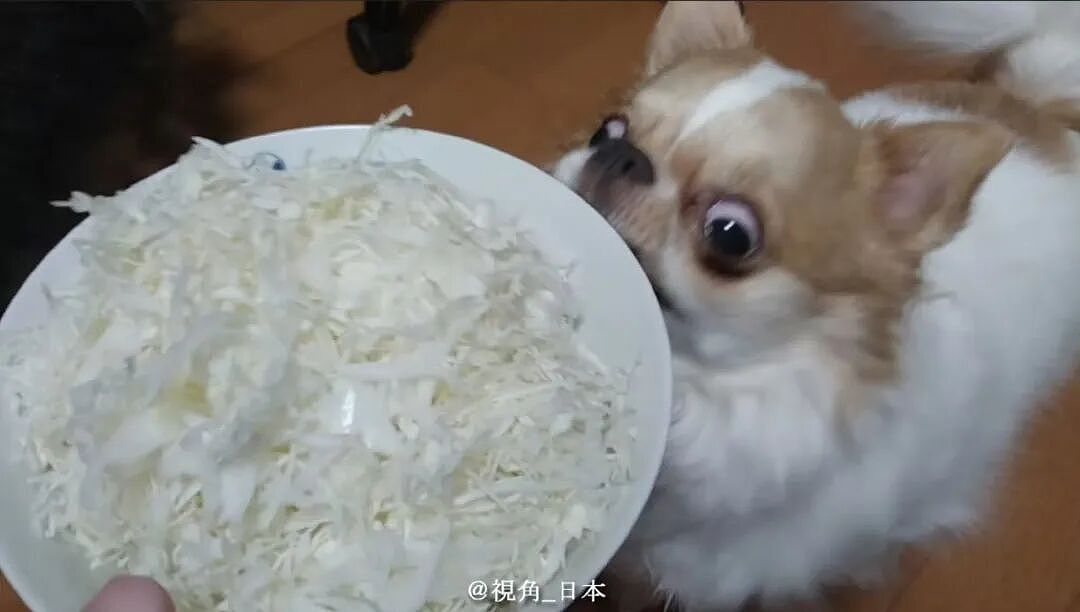 【爆笑】“花了5w装了送客风装修后......” 哈哈哈哈哈哈哈俺不中了(组图) - 43