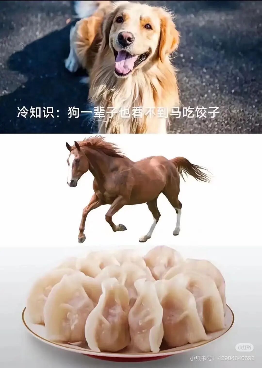 【爆笑】“把妈妈送去老年大学是种什么体验…?”哈哈哈老一辈也是吃上了时代黑利(组图) - 84