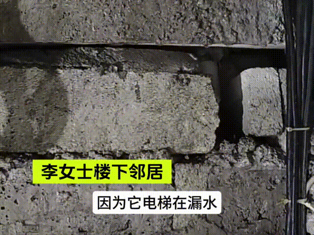 傻眼！女子出游被告知“家里淹大水”，朋友一查发现：智慧马桶炸了（视频/组图） - 1