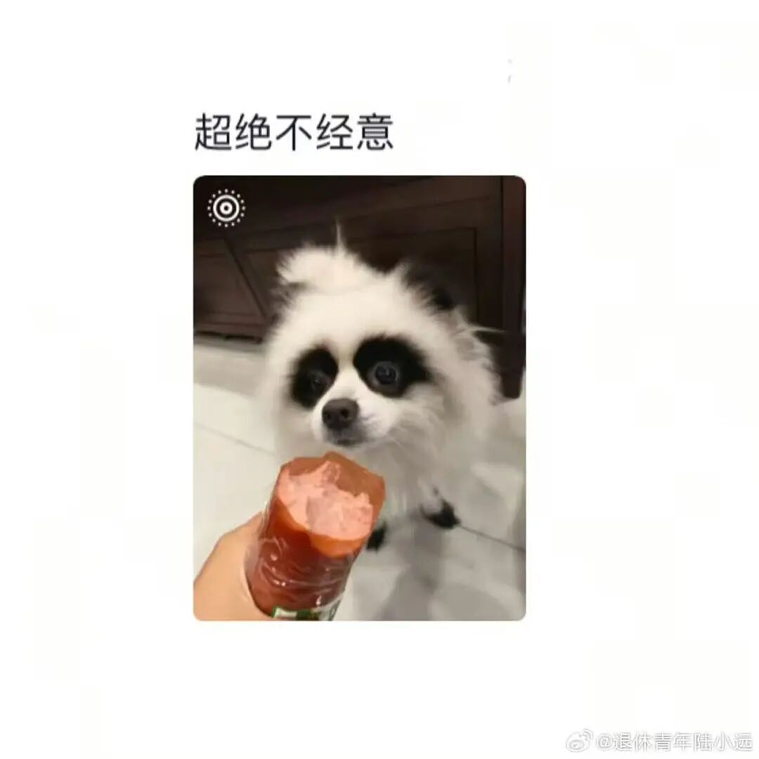 【爆笑】“花了5w装了送客风装修后......” 哈哈哈哈哈哈哈俺不中了(组图) - 68