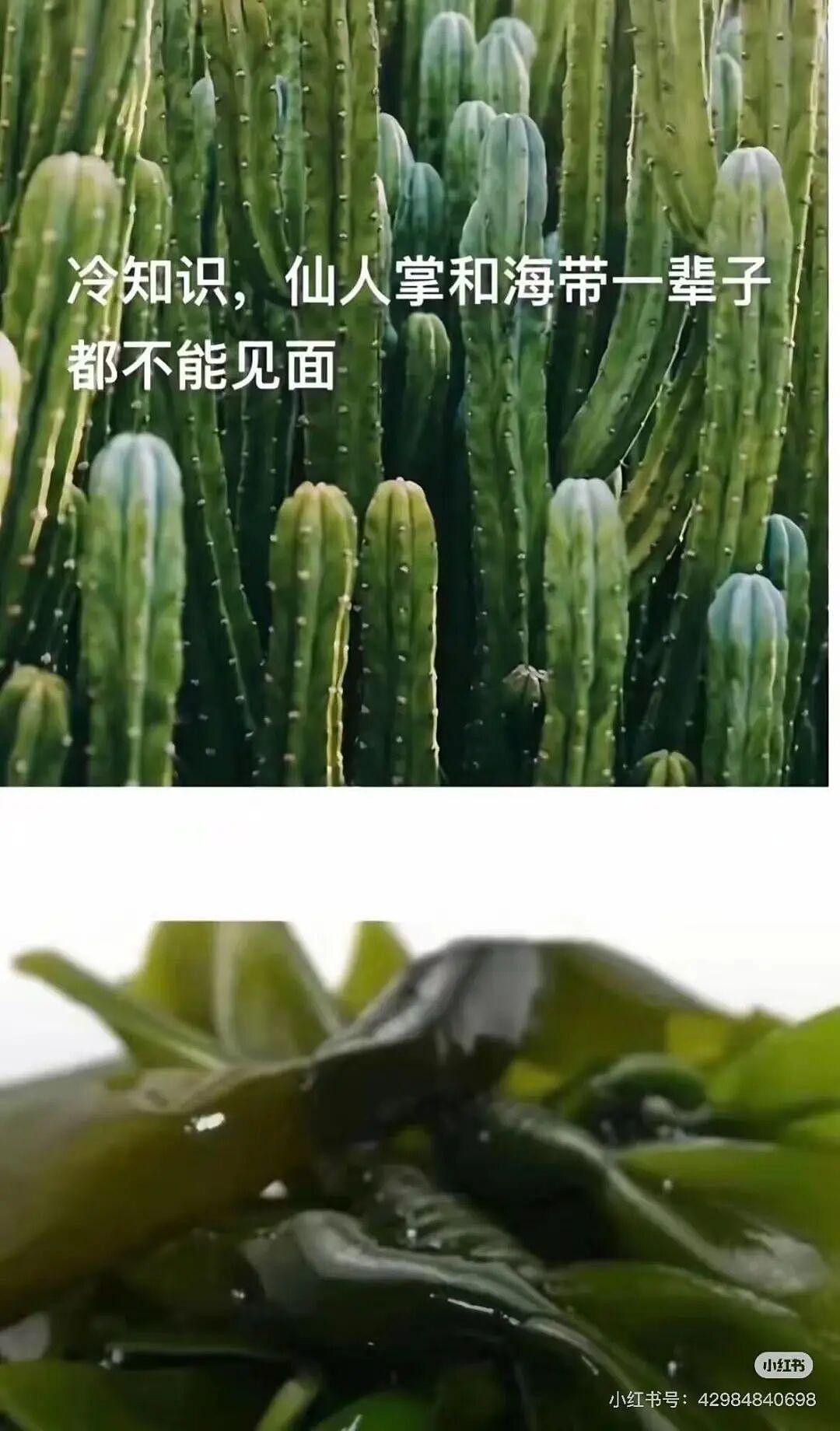 【爆笑】“把妈妈送去老年大学是种什么体验…?”哈哈哈老一辈也是吃上了时代黑利(组图) - 86