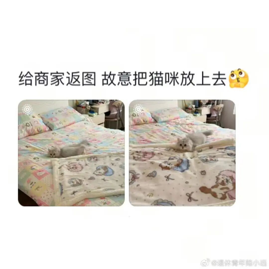 【爆笑】“花了5w装了送客风装修后......” 哈哈哈哈哈哈哈俺不中了(组图) - 62