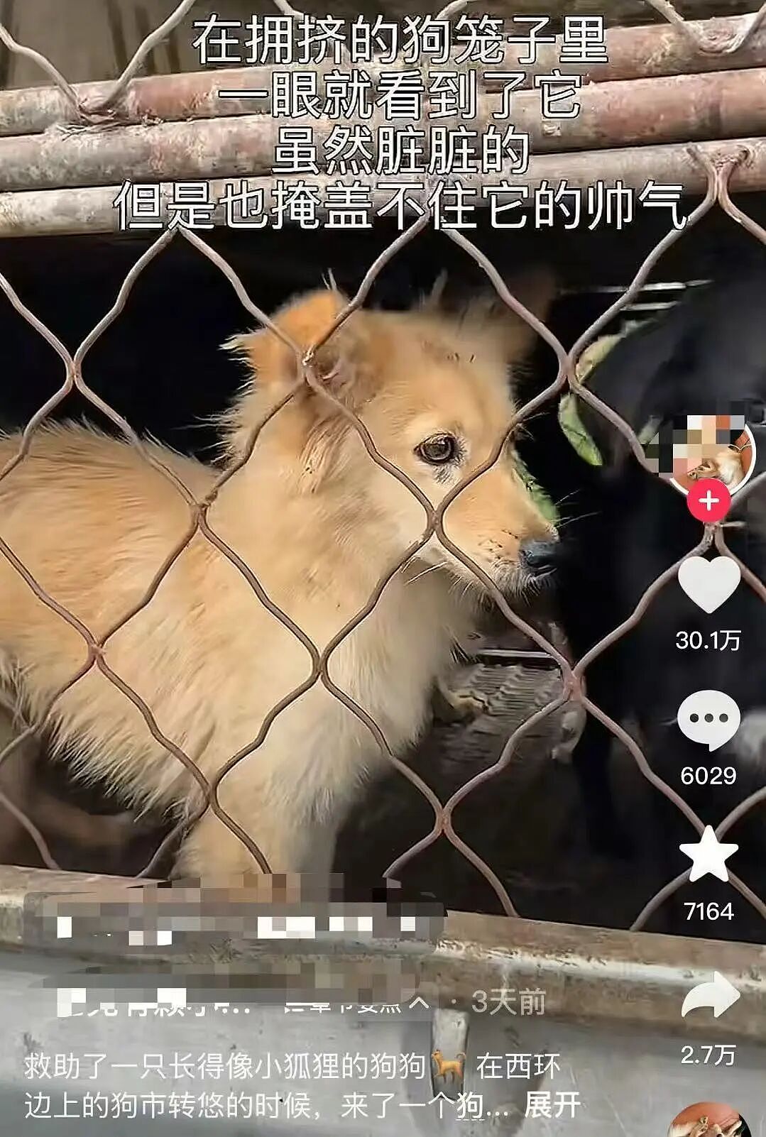 【爆笑】“把妈妈送去老年大学是种什么体验…?”哈哈哈老一辈也是吃上了时代黑利(组图) - 33