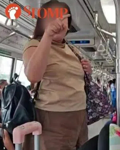 “滚回中国去”！新加坡地铁上一安哥发表种族歧视言论，引全网众怒！现场视频曝光（组图） - 9