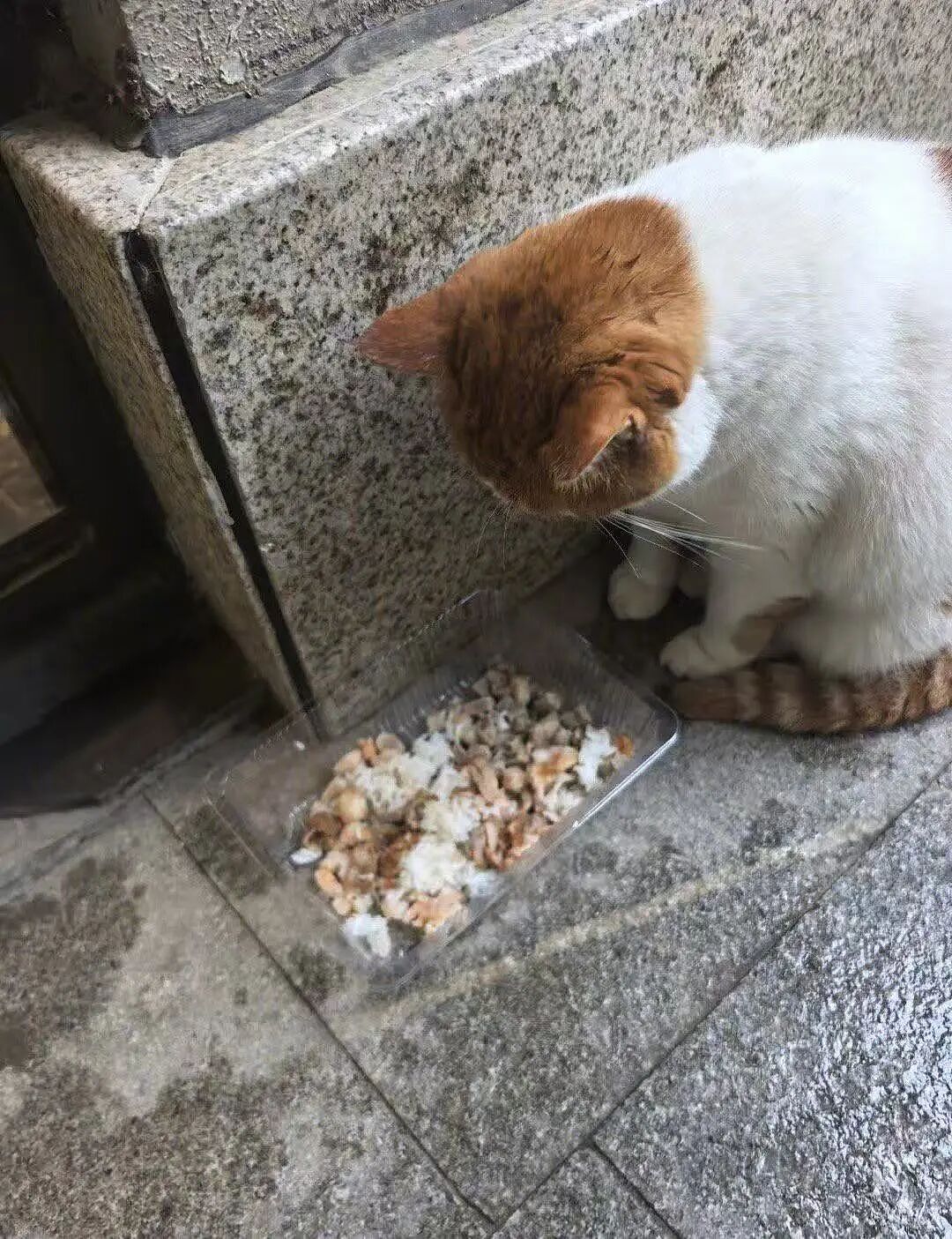【爆笑】“花了5w装了送客风装修后......” 哈哈哈哈哈哈哈俺不中了(组图) - 72