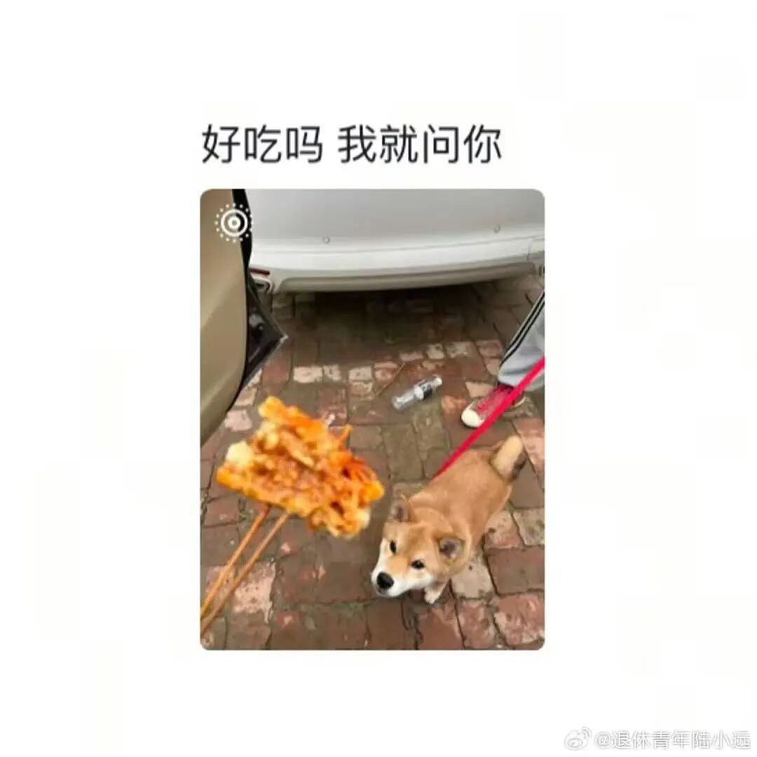【爆笑】“花了5w装了送客风装修后......” 哈哈哈哈哈哈哈俺不中了(组图) - 66