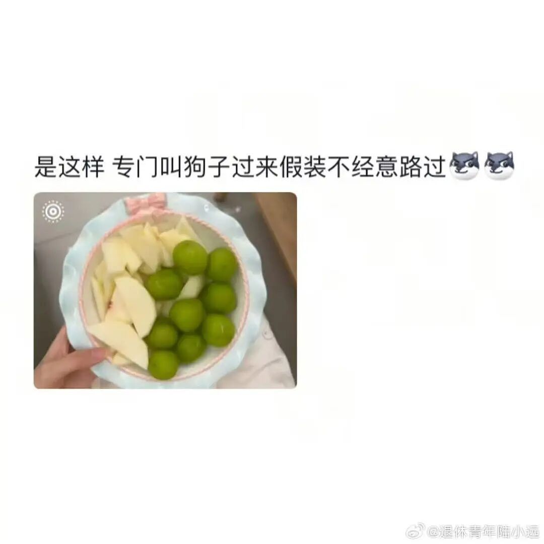 【爆笑】“花了5w装了送客风装修后......” 哈哈哈哈哈哈哈俺不中了(组图) - 65