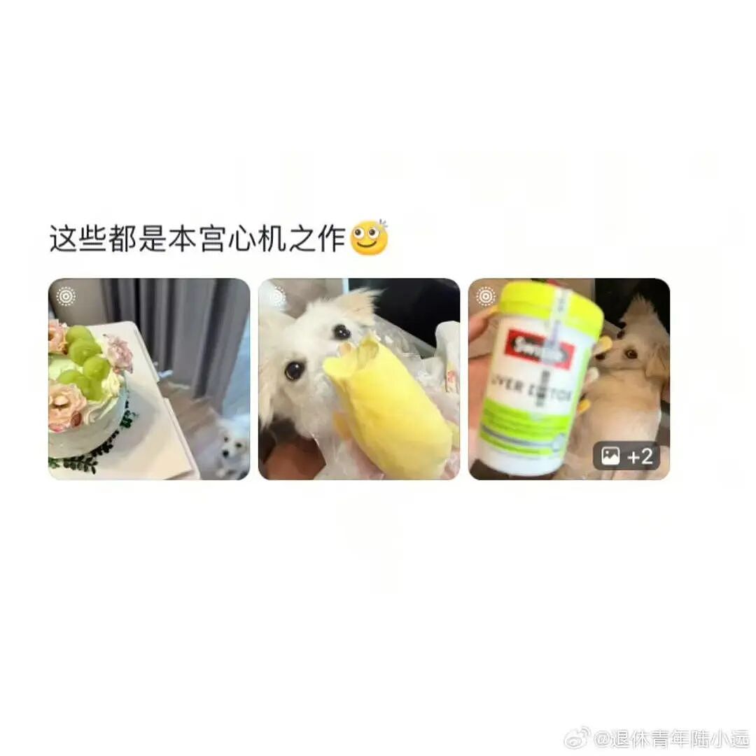 【爆笑】“花了5w装了送客风装修后......” 哈哈哈哈哈哈哈俺不中了(组图) - 63