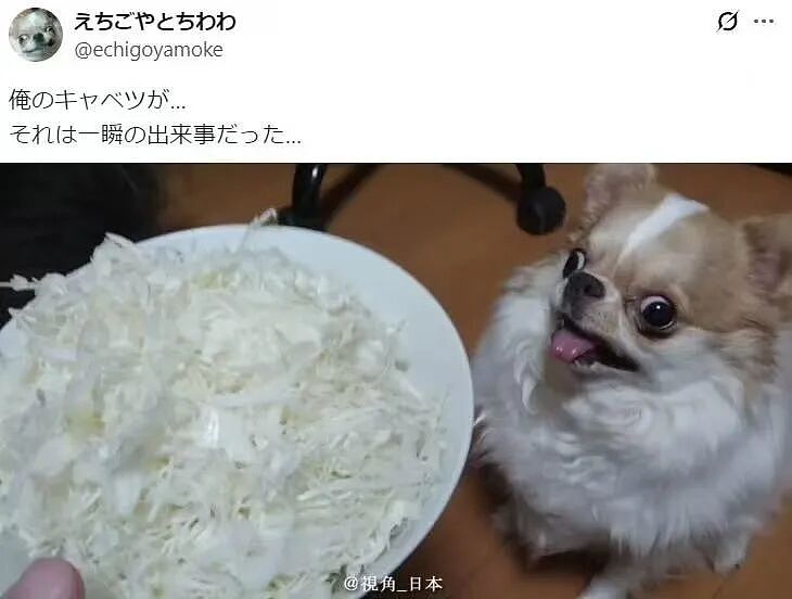 【爆笑】“花了5w装了送客风装修后......” 哈哈哈哈哈哈哈俺不中了(组图) - 42