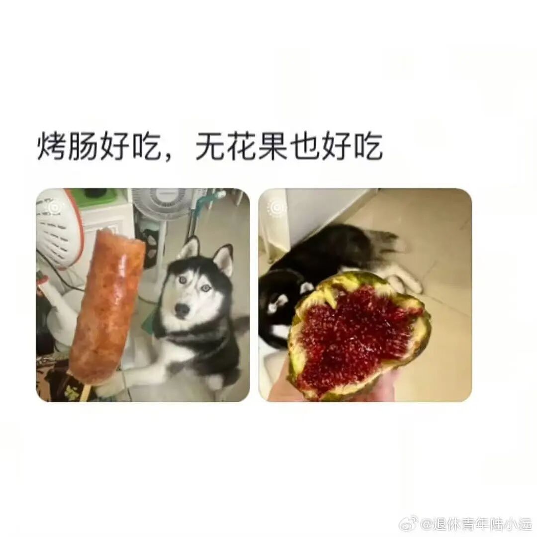 【爆笑】“花了5w装了送客风装修后......” 哈哈哈哈哈哈哈俺不中了(组图) - 61