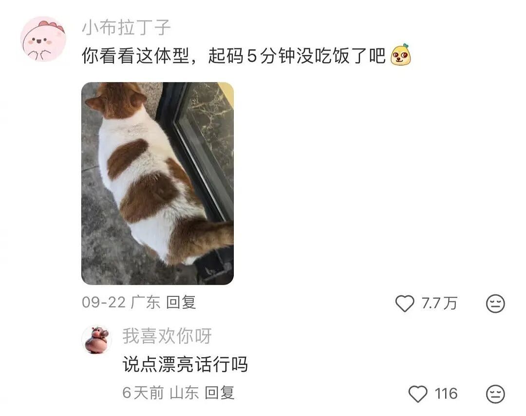 【爆笑】“花了5w装了送客风装修后......” 哈哈哈哈哈哈哈俺不中了(组图) - 75