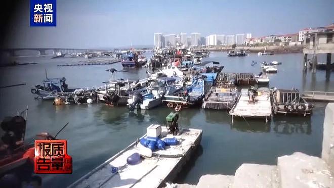 福建一无人岛现巨大垃圾天坑，央视曝光：非法包船公开拉客，人多时还要预约（组图） - 4