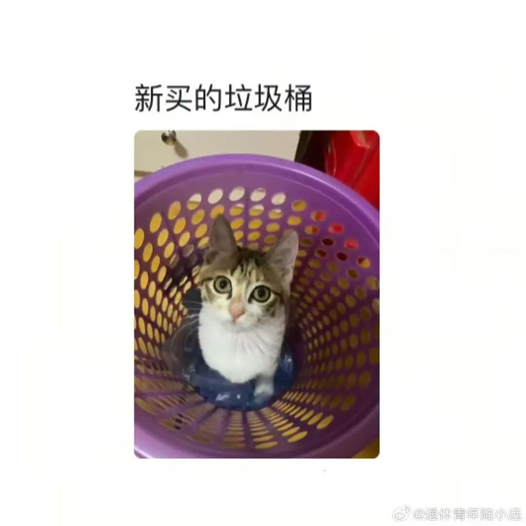 【爆笑】“花了5w装了送客风装修后......” 哈哈哈哈哈哈哈俺不中了(组图) - 67