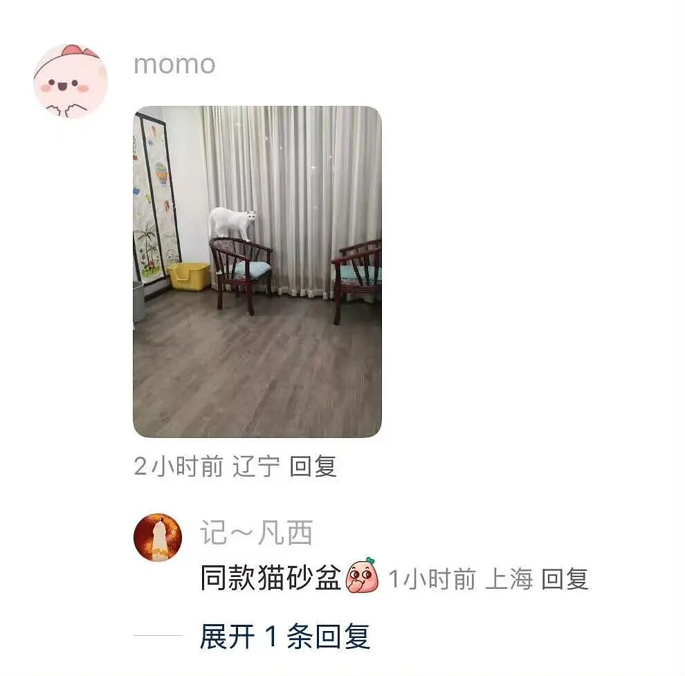 【爆笑】“花了5w装了送客风装修后......” 哈哈哈哈哈哈哈俺不中了(组图) - 112